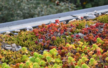 the cost of Ashurst green roof installation