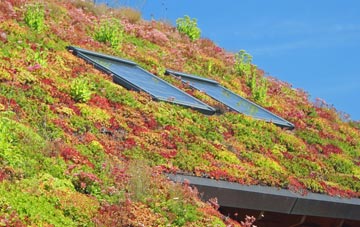Ashurst living roof systems
