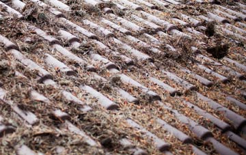 Ashurst roof cleaning companies