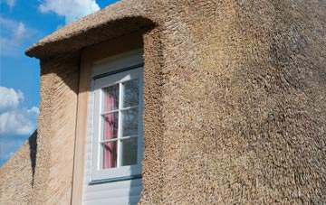 Ashurst thatch roof disadvantages