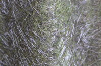 Ashurst fibreglass roof work